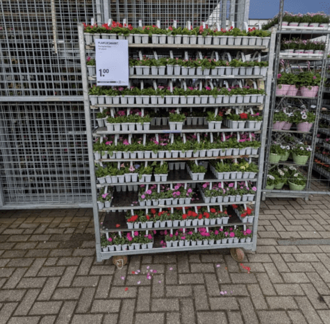 aBz3sfra172jPbDBgEp1ZK90DzmSDjMrTaPCdrpM.png