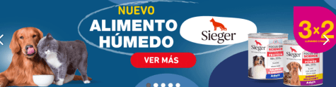 EfhlDT7Goil4VAbGSP7s0hvK6vfJ0v4nP9sQCe3j.png