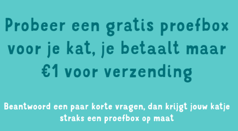 ZroDHSclc4bZN0TkRQCy98VtrbrlifgxLq8PXi8L.png