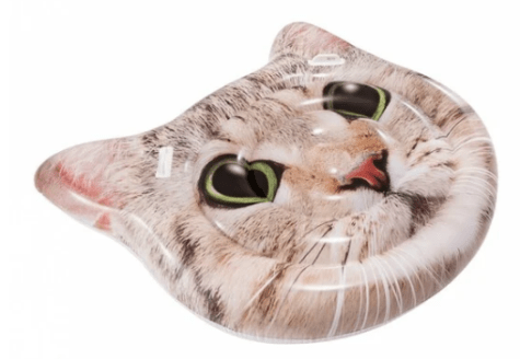 fW4TB2I6A863blodzrWr5gSJzexkuJvhKTgibSIP.png