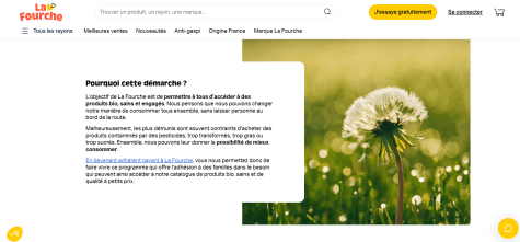 chuKzVaxU1kBfbRYcpXYHdeZYOMPp36X5iV8ekHz.png