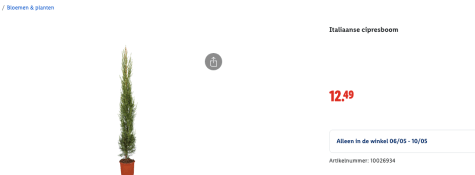 oM6Au4K2JjvTdV0bwOlkjHXFVg5cMWlGm8aq9I6H.png