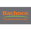 Bachoco