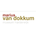 Marius van dokkum