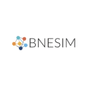 BNESIM
