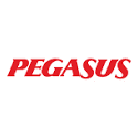 Flypgs