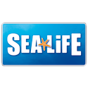 Sea Life