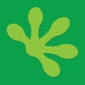 Geckocovers