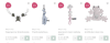 Baby's Only kortingscode voor 30% extra korting op de sale