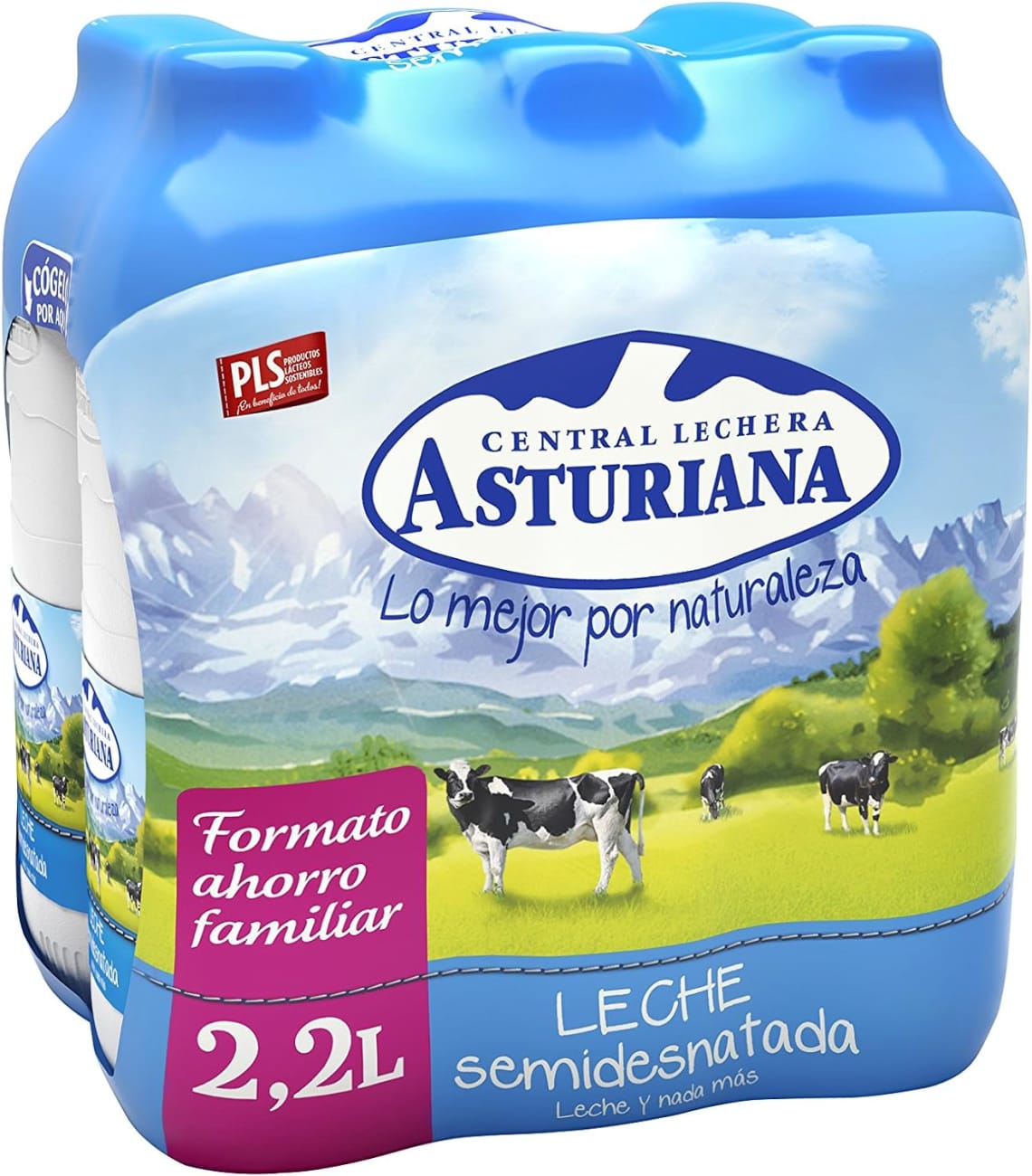leche en polbo - Central Lechera Asturiana - 1kg