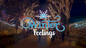 Gratis 2e bezoek aan Toverland in de winter