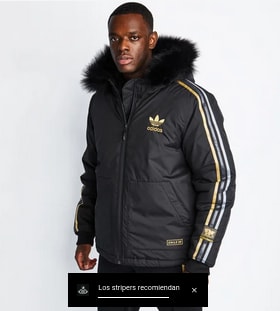 Religioso Intercambiar volumen Adidas Chile 20 Heavyweight Hooded Bomber por 79,99€ en Footlocker