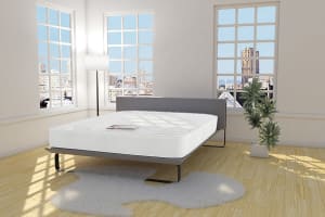 Kayflex pocket plush 2000 series deals mattress