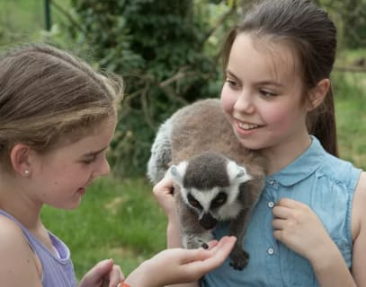 Gaiazoo deal Gaiazoo deal