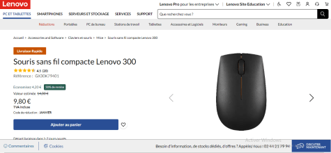 Souris sans fil Lenovo WL300 –