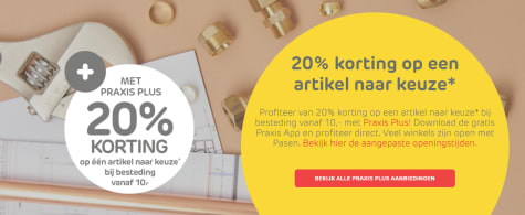 rijkdom Fictief Gehakt 20% korting op artikel naar keuze met Praxis Plus