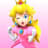 PrincessDiscount