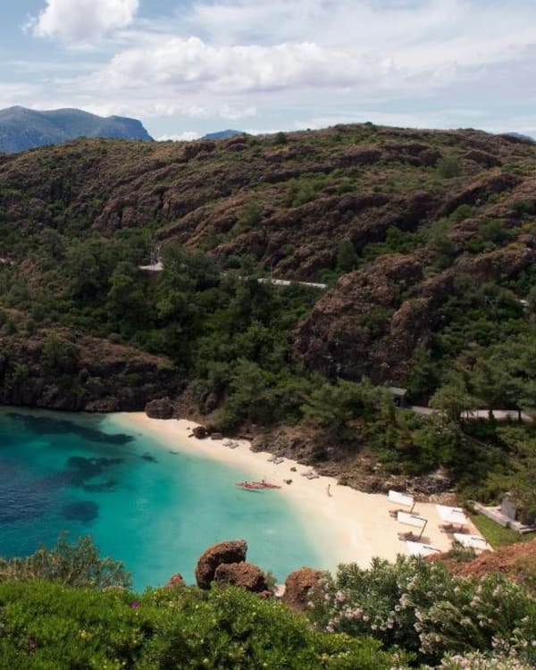 D Maris Bay