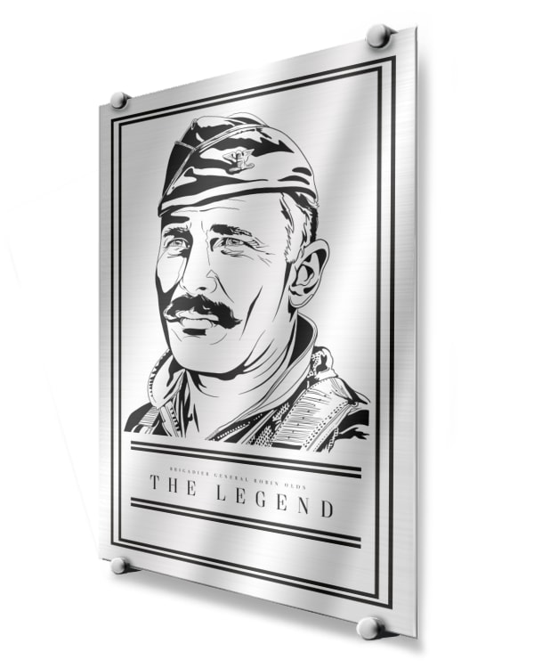 Robin Olds Modern Monochrome