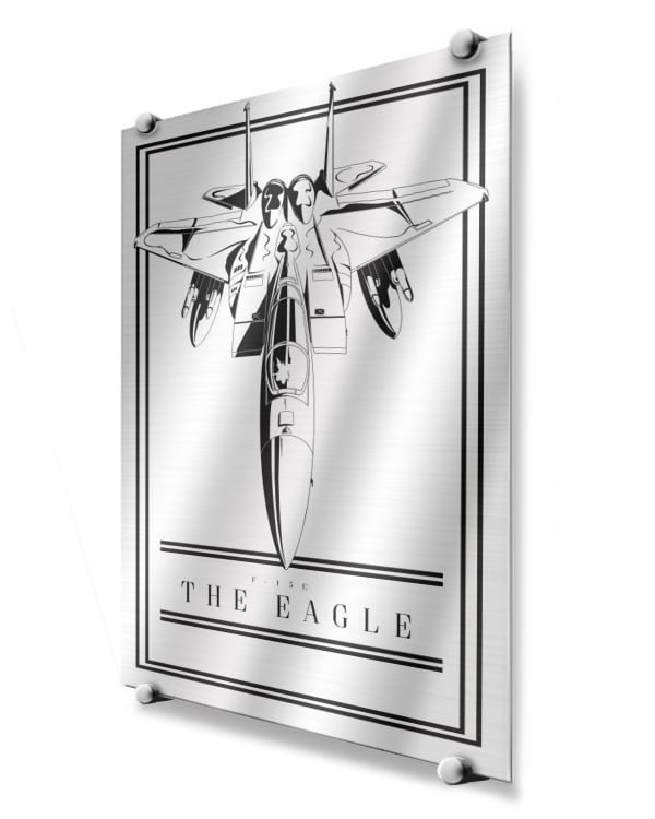 F-15C Modern Monochrome