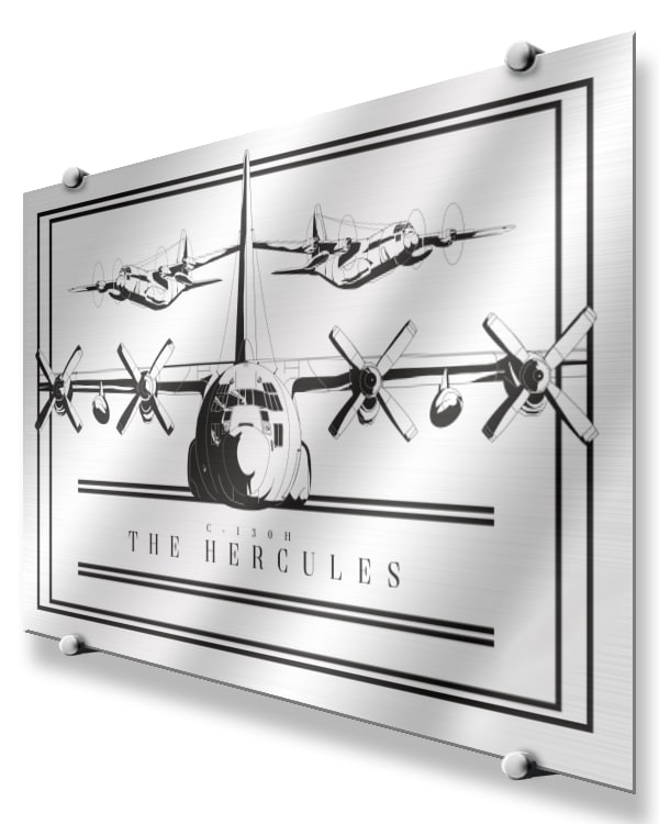 C-130H Modern Monochrome