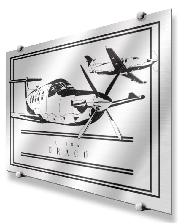 U-28 Draco Modern Monochrome