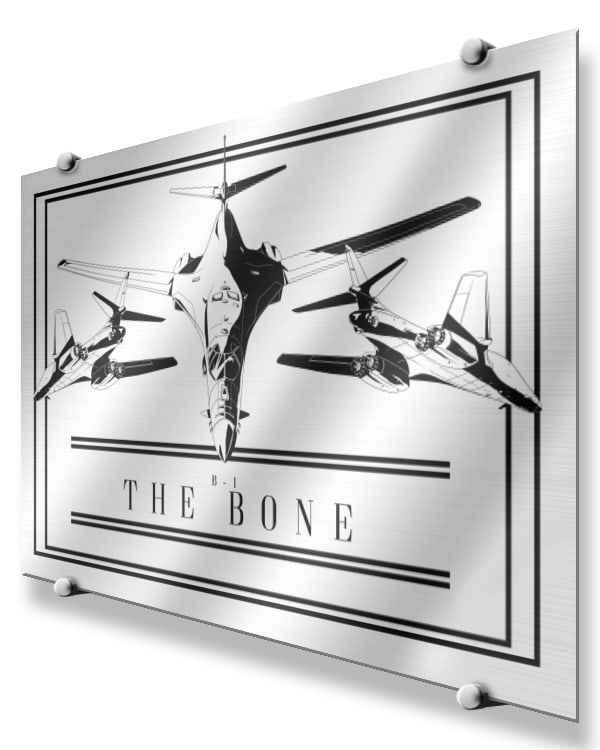 B-1 The Bone Modern Monochrome