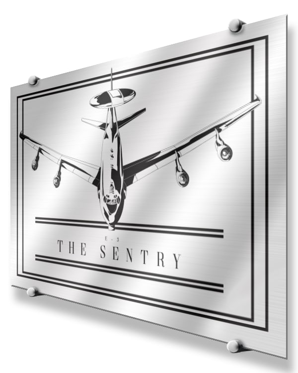 E-3 The Sentry Modern Monochrome