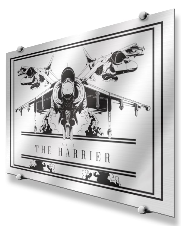AV-8B Harrier Modern Monochrome