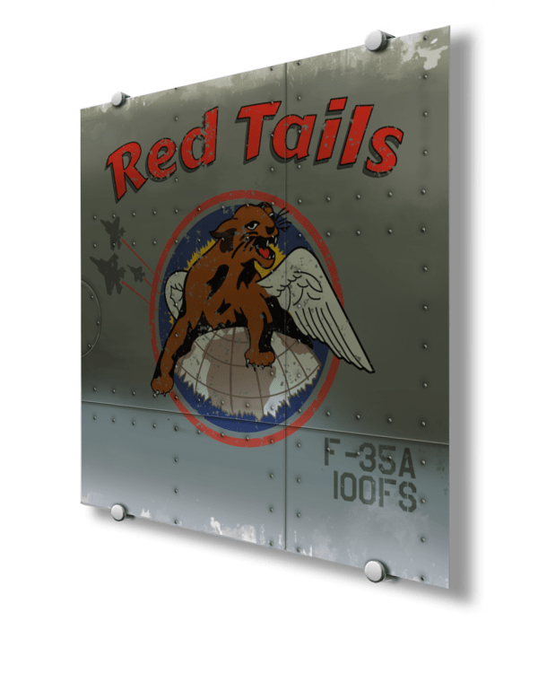 100th FS F-35A Nose Art