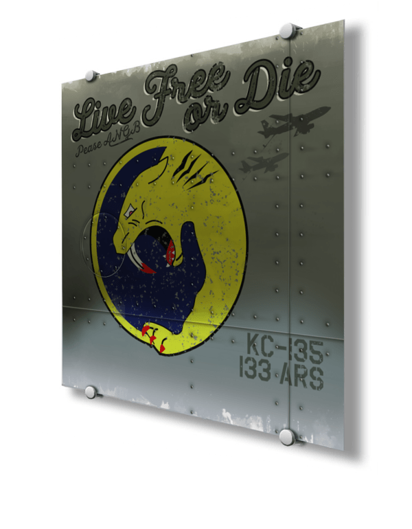133rd ARS “Live Free Or Die” Nose Art