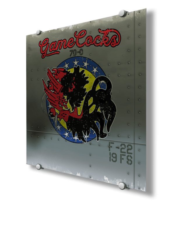 19th Fighter Squadron Metal Nose Art