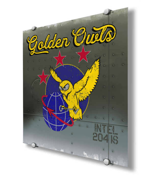 204th IS Golden Owls Nose Art