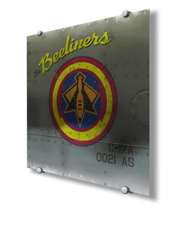 21st Airlift Squadron Nose Art