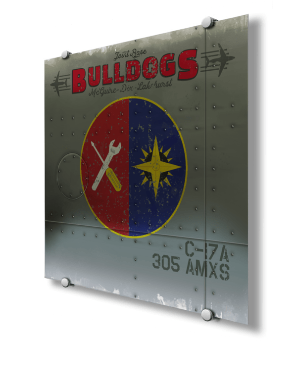 305th AMXS “Bulldogs” Nose Art