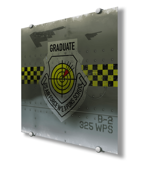 325th Weapons Squadron Nose Art