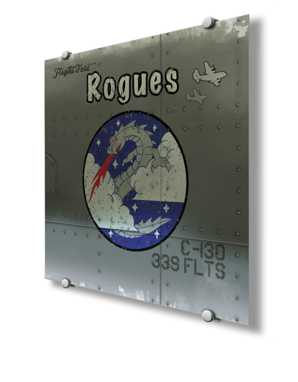 339 FLTS Flight Test Rogues Nose Art