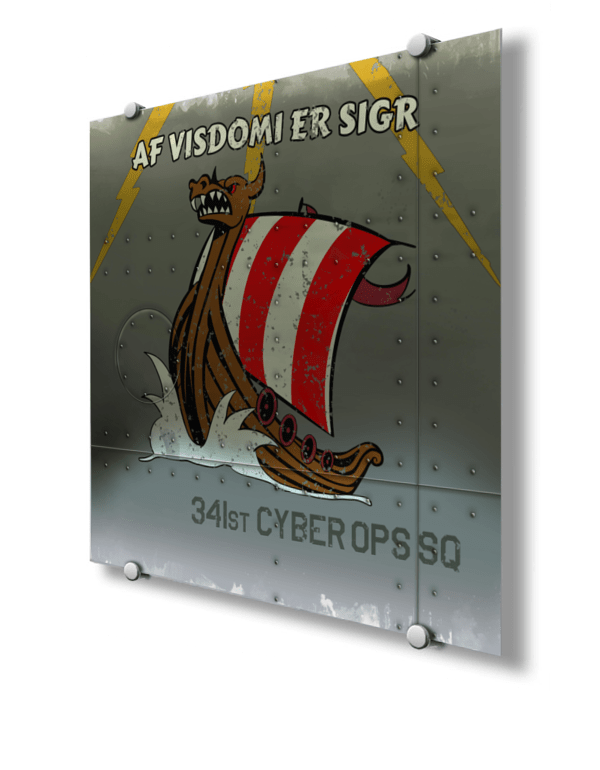 341st Cyber Ops Squadron Nose Art