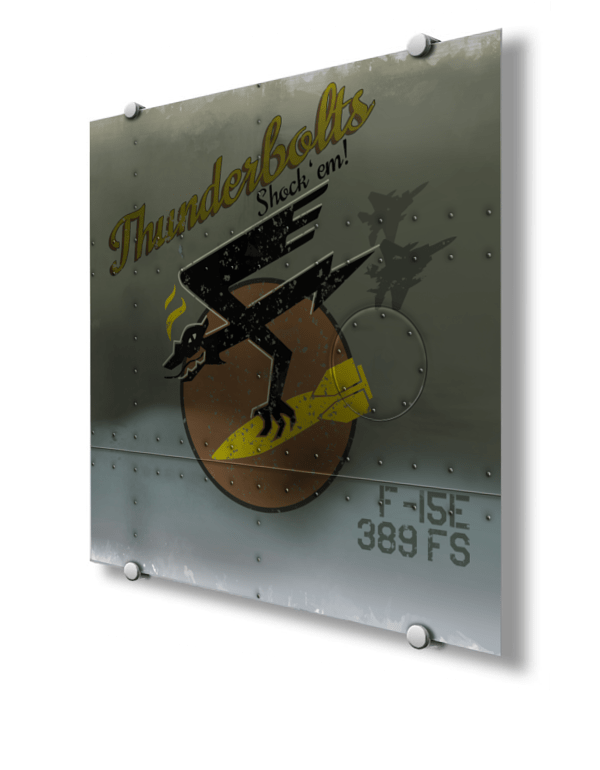 389th Fighter Squadron Vintage Nose Art
