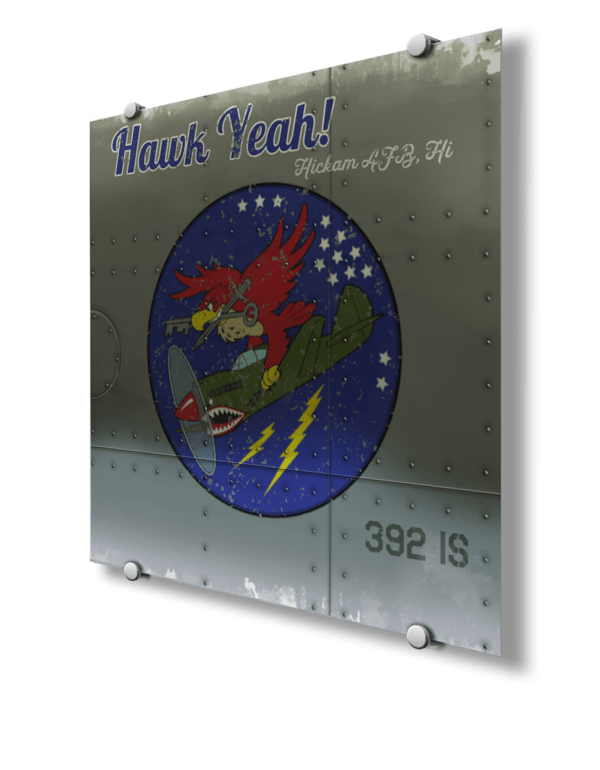 392d IS “Hawk Yeah!” Nose Art