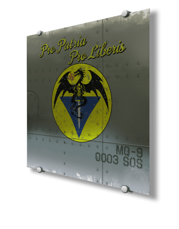 3d Special Operations Squadron MQ-1 Nose Art