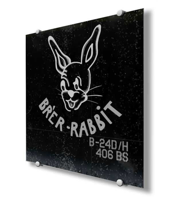 406th BS “Brer-rabbit” Nose Art 406th BS “Brer-rabbit” Nose Art