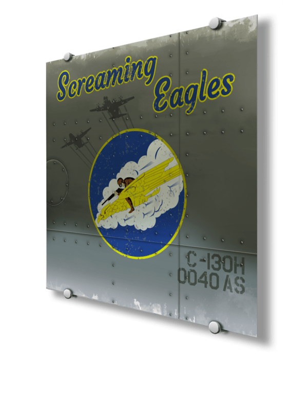 40 AS C-130H Screaming Eagles Nose Art