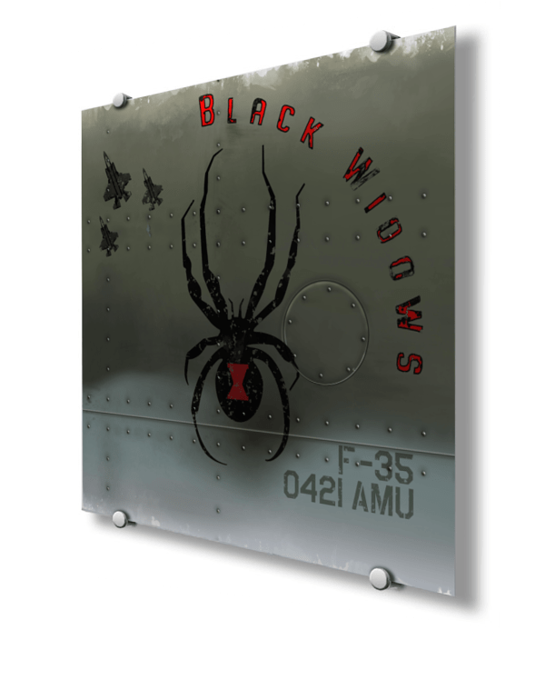 421st AMU Black Widows Nose Art