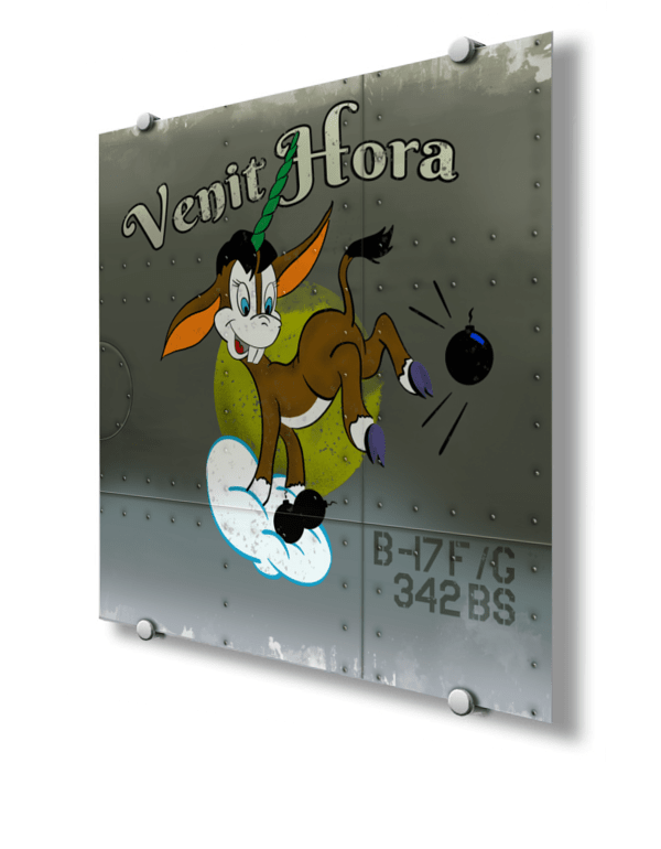 342 BS B-17 Venit Hora Nose Art
