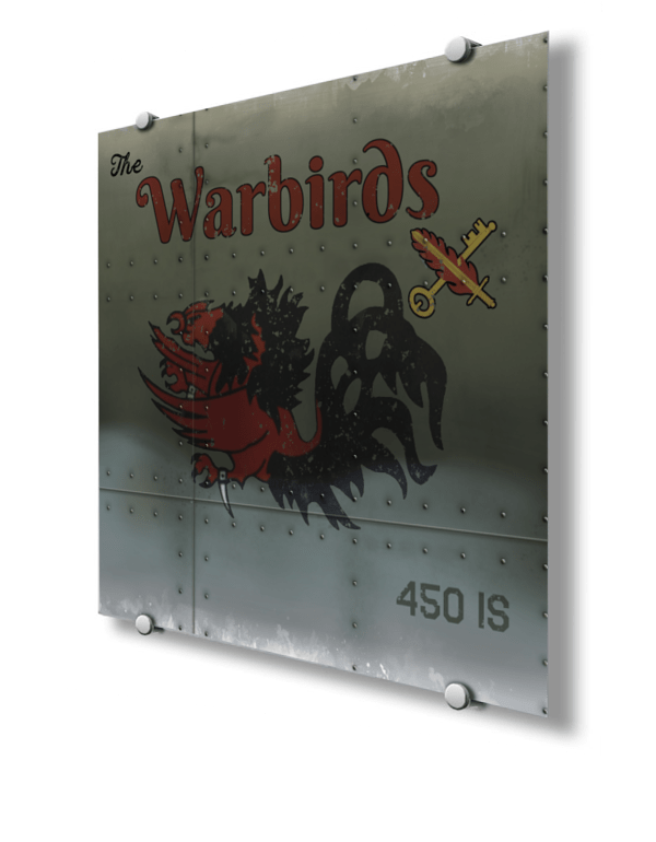 450th Intelligence Squadron Nose Art