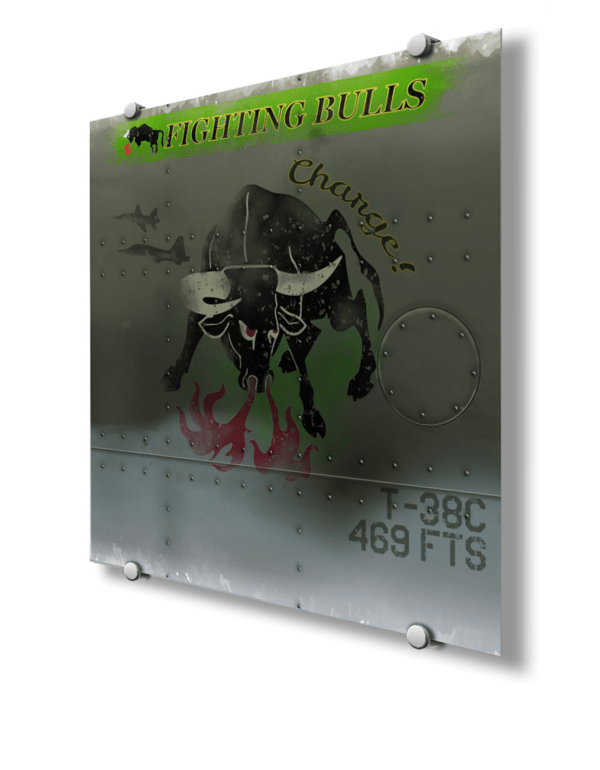 469th Flying Training Squadron Nose Art