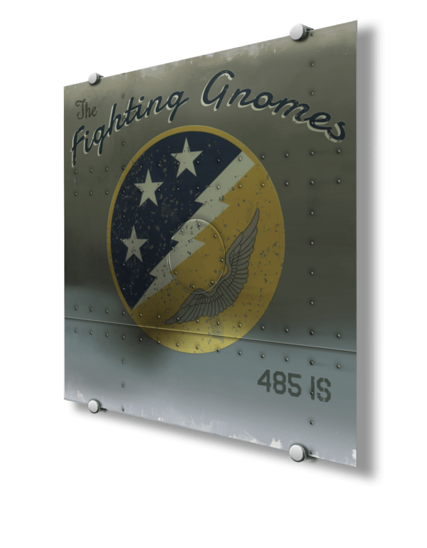 485th Intelligence Squadron Nose Art