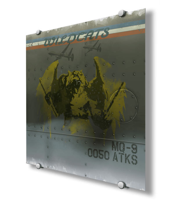 50th Attack Squadron “Wildcats” Nose Art