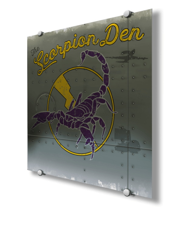 552nd ACNS Scorpion Den Nose Art